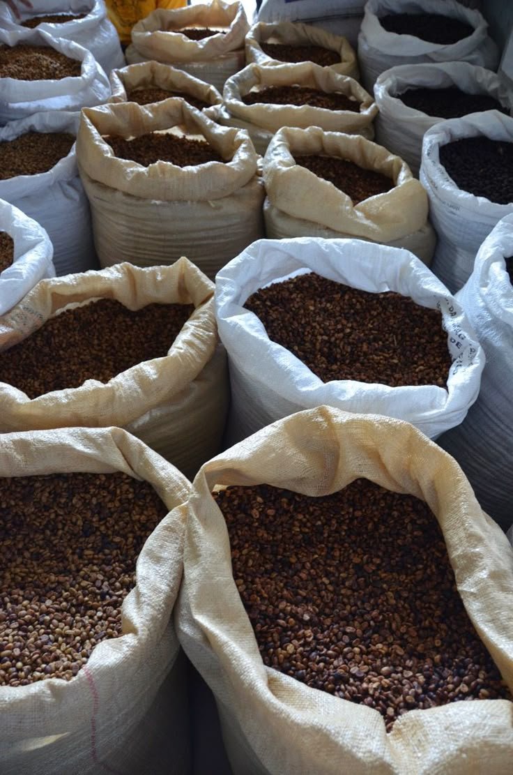 Biji Kopi Robusta 20KG